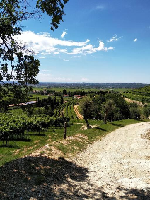 Giardino Del Borgo Appartamento Valpolicella Sant'Ambrogio di Valpolicella Luaran gambar