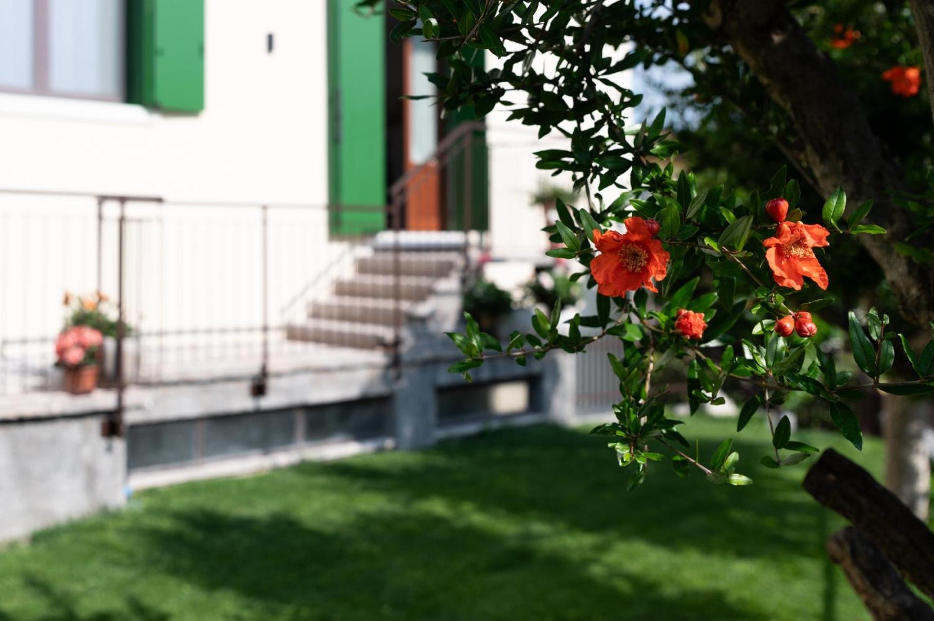 Giardino Del Borgo Appartamento Valpolicella Sant'Ambrogio di Valpolicella Luaran gambar